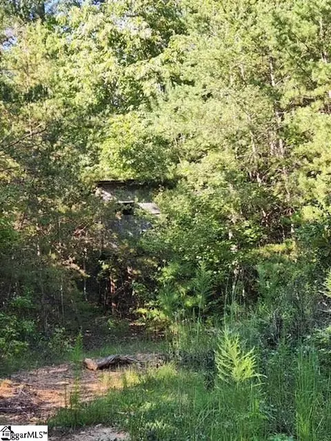 193 Duncan Rd, Easley, SC 29640 photo 36