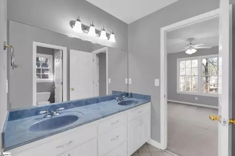 Bath - 204 Red Maple Way, Clemson, SC 29631 photo 4 of 4