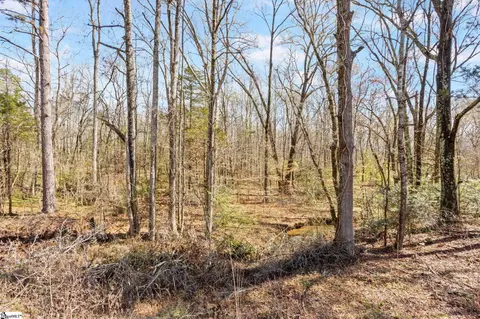 00 Reedy Fork Rd, Pelzer, SC 29669 photo 16