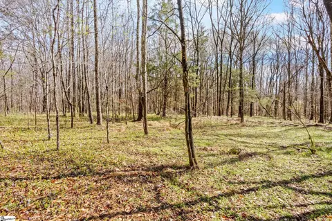 00 Reedy Fork Rd, Pelzer, SC 29669 photo 19