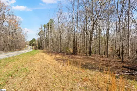 00 Reedy Fork Rd, Pelzer, SC 29669 photo 17