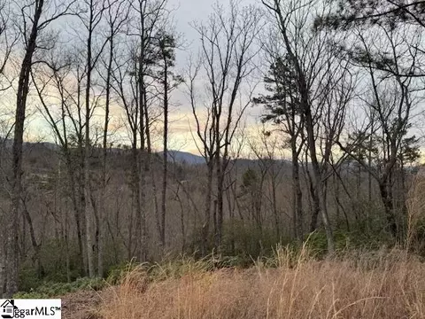 40 Secret Hollow Trl, Marietta, SC 29661