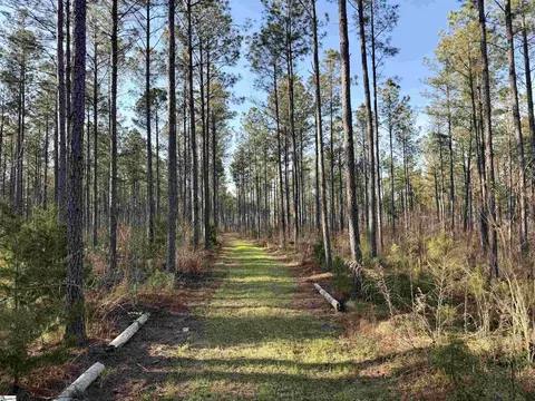 00 Long Cane Rd, Mccormick, SC 29620 photo 13