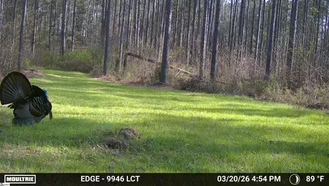 00 Long Cane Rd, Mccormick, SC 29620 photo 28