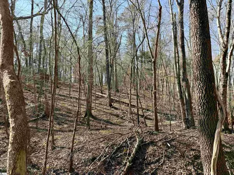 00 Long Cane Rd, Mccormick, SC 29620 photo 7