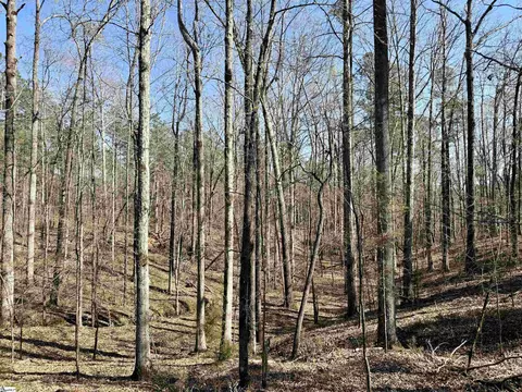 00 Long Cane Rd, Mccormick, SC 29620 photo 12
