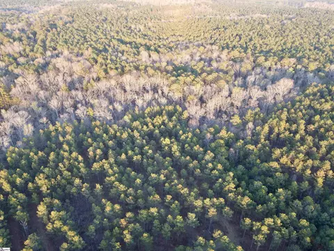 00 Long Cane Rd, Mccormick, SC 29620 photo 25