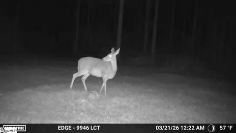00 Long Cane Rd, Mccormick, SC 29620 photo 9