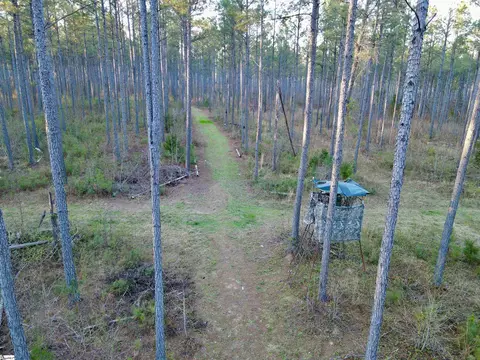 00 Long Cane Rd, Mccormick, SC 29620 photo 15