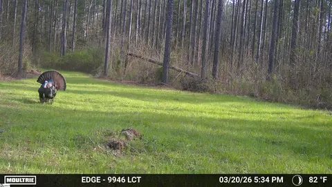 00 Long Cane Rd, Mccormick, SC 29620 photo 4