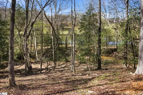 View/Area - 40 Silesian Ct, Pelzer, SC 29669 photo 1 of 4