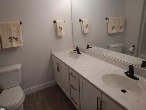 Bath - 313 Daystrom Dr, Greer, SC 29651 photo 3 of 4