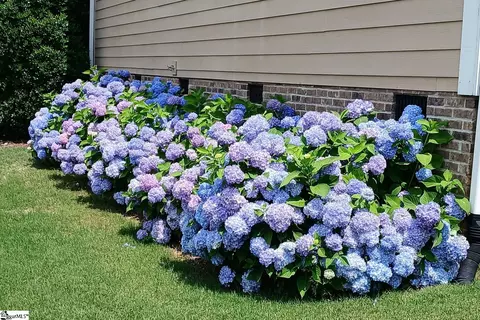 Other - 123 Elevation Ct, Greer, SC 29651 photo 11 of 12