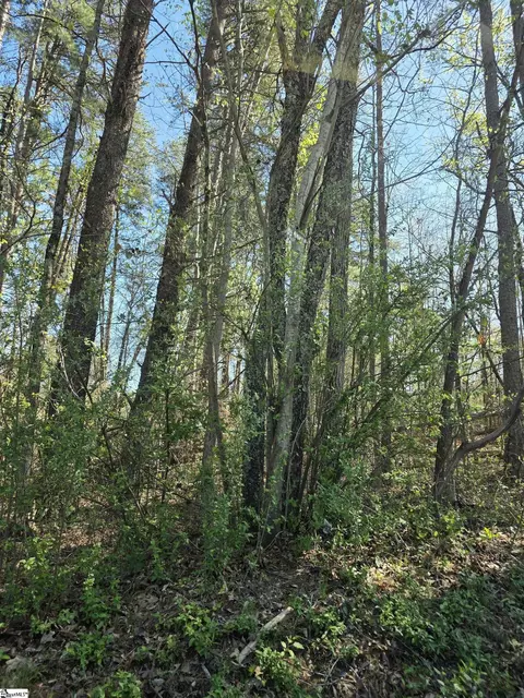 102 Pine Dr, Taylors, SC 29687