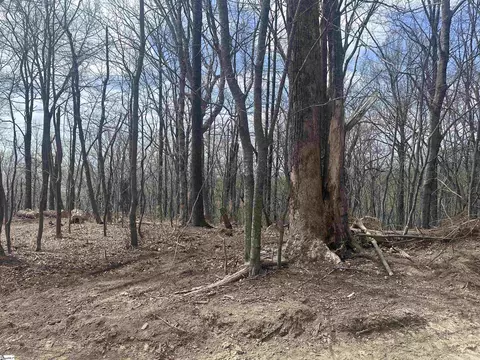 00 Flintrock Knob Ln, Landrum, SC 29356