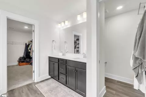 Entry Way - 313 Foxbank Cir, Greer, SC 29651 photo 11 of 14