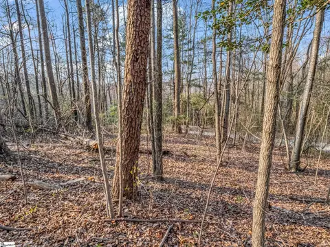 tbd Mountain Lakes Dr, Tryon, NC 28782 photo 5