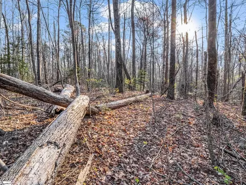 tbd Mountain Lakes Dr, Tryon, NC 28782 photo 9