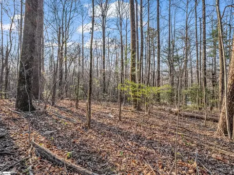 tbd Mountain Lakes Dr, Tryon, NC 28782 photo 6