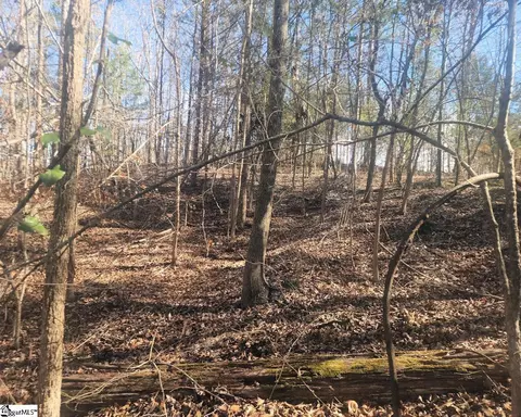Undisclosed, Waterloo, SC 29384 photo 9