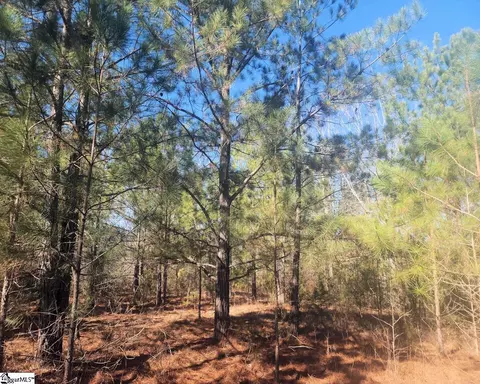 Undisclosed, Waterloo, SC 29384 photo 5