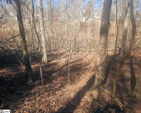 Undisclosed, Waterloo, SC 29384 photo 8