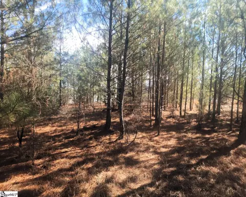 Undisclosed, Waterloo, SC 29384 photo 6