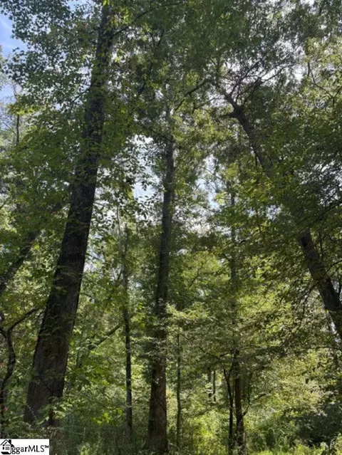 338 Berry Rd, Pelzer, SC 29669 photo 4