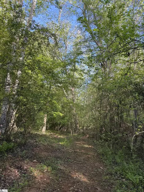 338 Berry Rd, Pelzer, SC 29669 photo 9