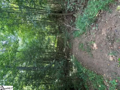 338 Berry Rd, Pelzer, SC 29669 photo 3