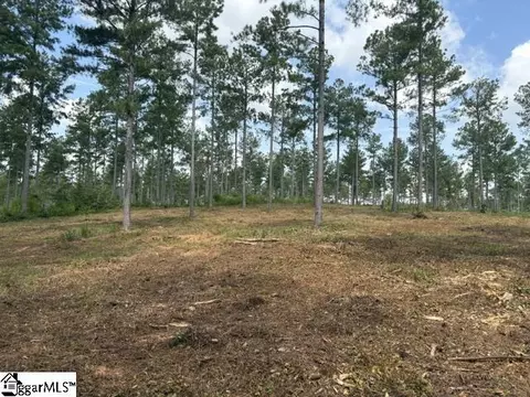 338 Berry Rd, Pelzer, SC 29669 photo 2