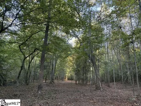 336 Berry Rd, Pelzer, SC 29669 photo 5