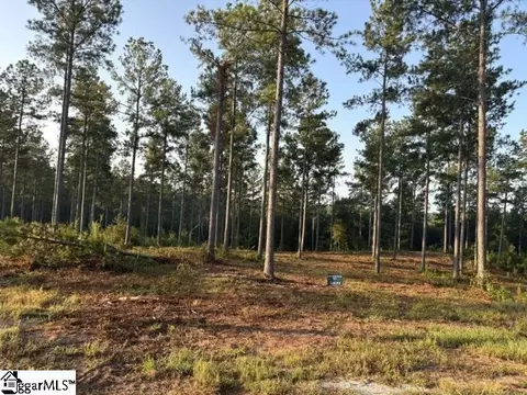 336 Berry Rd, Pelzer, SC 29669 photo 10