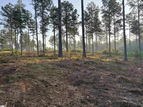 336 Berry Rd, Pelzer, SC 29669 photo 9