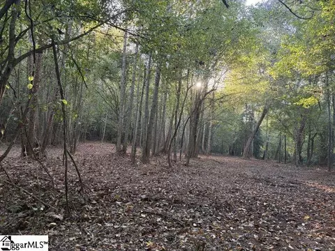 336 Berry Rd, Pelzer, SC 29669 photo 6