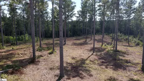 336 Berry Rd, Pelzer, SC 29669 photo 8