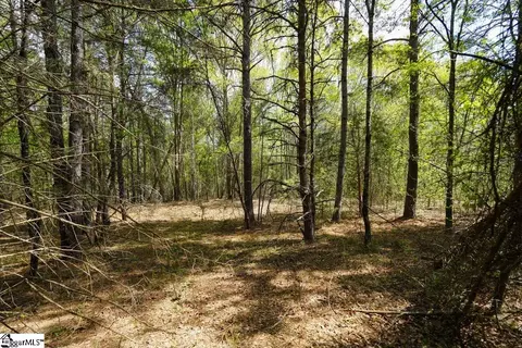 0 Cantrell Dr #LOT 2, Chesnee, SC 29323 photo 6