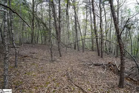 0 Cantrell Dr #LOT 2, Chesnee, SC 29323 photo 26