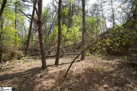 0 Cantrell Dr #LOT 2, Chesnee, SC 29323 photo 9
