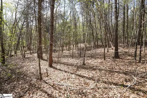 0 Cantrell Dr #LOT 2, Chesnee, SC 29323 photo 24