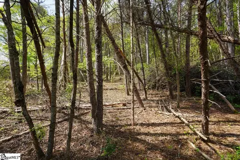 0 Cantrell Dr #LOT 2, Chesnee, SC 29323 photo 11