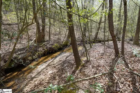 0 Cantrell Dr #LOT 2, Chesnee, SC 29323 photo 18