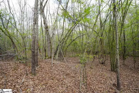 0 Cantrell Dr #LOT 2, Chesnee, SC 29323 photo 22