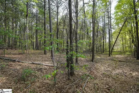 0 Cantrell Dr #LOT 2, Chesnee, SC 29323 photo 27