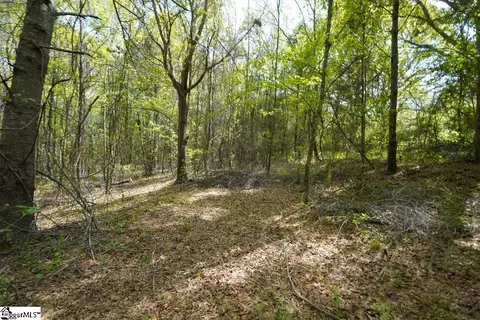 0 Cantrell Dr #LOT 2, Chesnee, SC 29323 photo 5