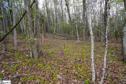 0 Cantrell Dr #LOT 2, Chesnee, SC 29323 photo 23