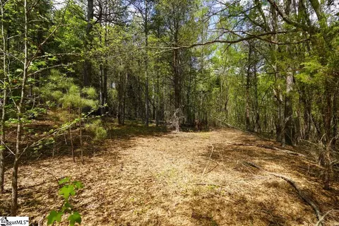 0 Cantrell Dr #LOT 2, Chesnee, SC 29323 photo 8