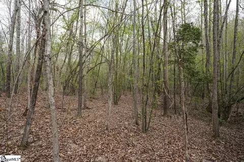 0 Cantrell Dr #LOT 2, Chesnee, SC 29323 photo 20