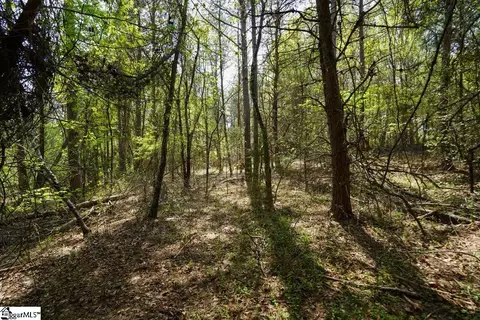 0 Cantrell Dr #LOT 2, Chesnee, SC 29323 photo 7