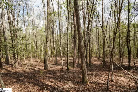 0 Cantrell Dr #LOT 2, Chesnee, SC 29323 photo 25